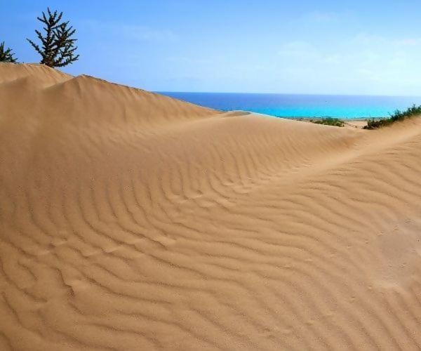 Sol Y Sal De Corralejo (Adults Only) Exterior foto